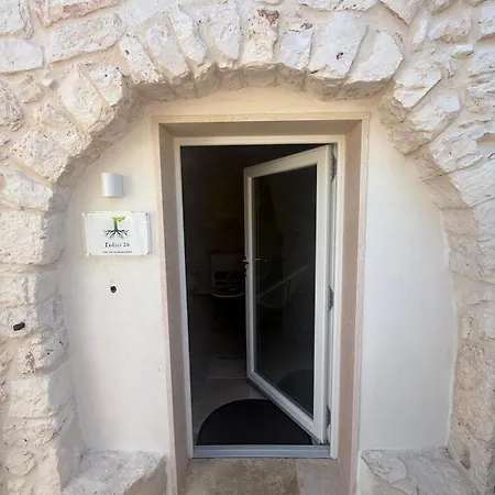 Radici26